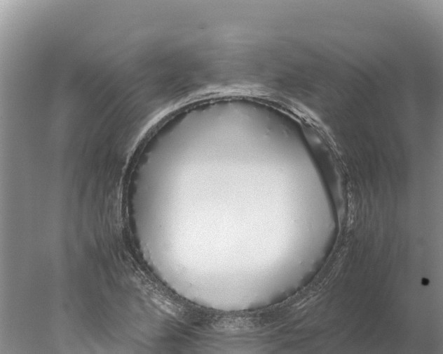 X0000077991174200611171747