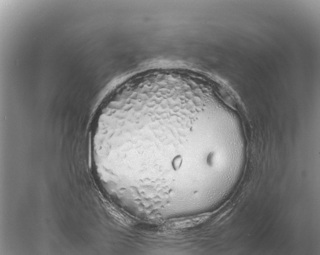 X0000077991175200611171747