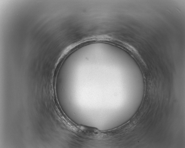 X0000077991176200611171747