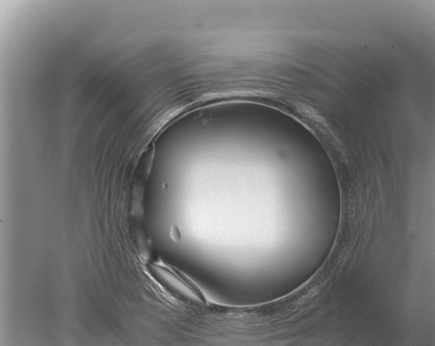 X0000077991177200611171747