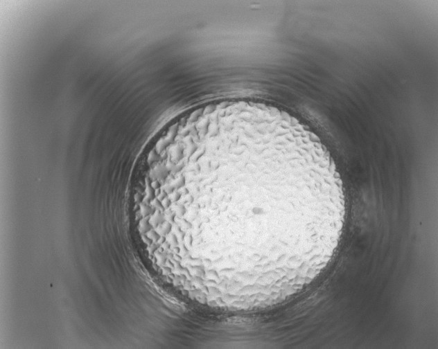 X0000077991178200611171747