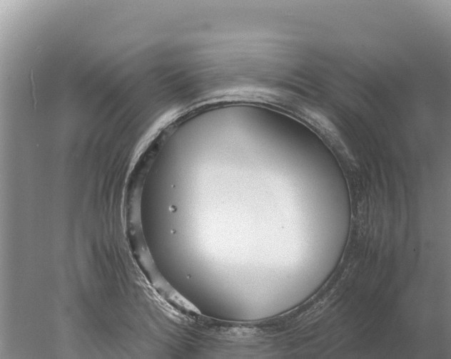 X0000077991180200611171747