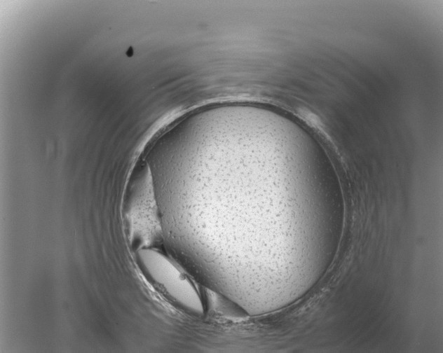 X0000077991181200611171747