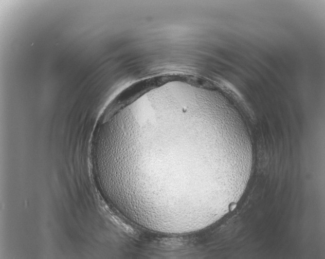 X0000077991182200611171747