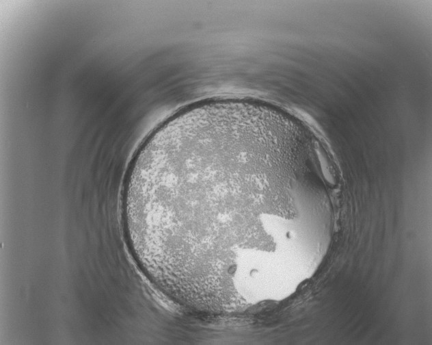 X0000077991183200611171747