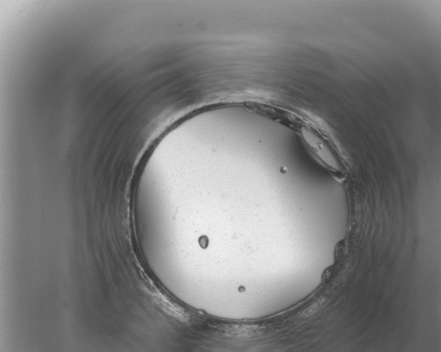 X0000077991184200611171747