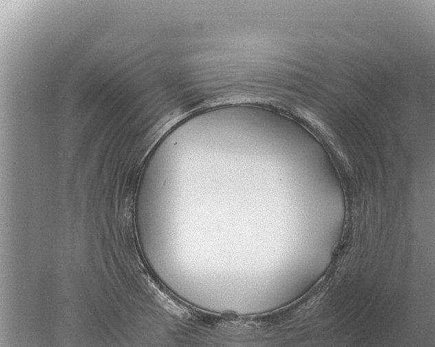 X0000077991185200611171747