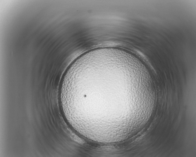 X0000077991186200611171746