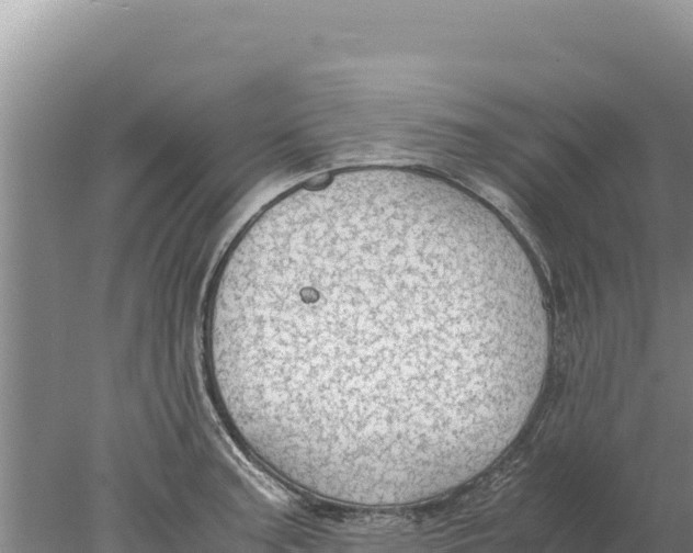 X0000077991187200611171746