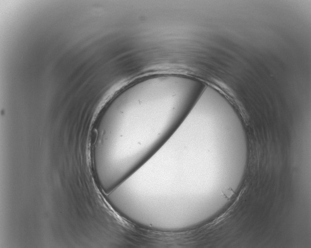 X0000077991188200611171746