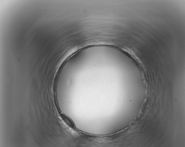 X0000077991189200611171746