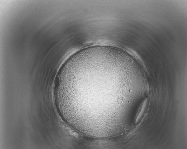 X0000077991190200611171746