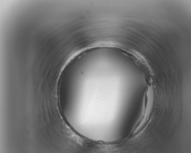 X0000077991192200611171746