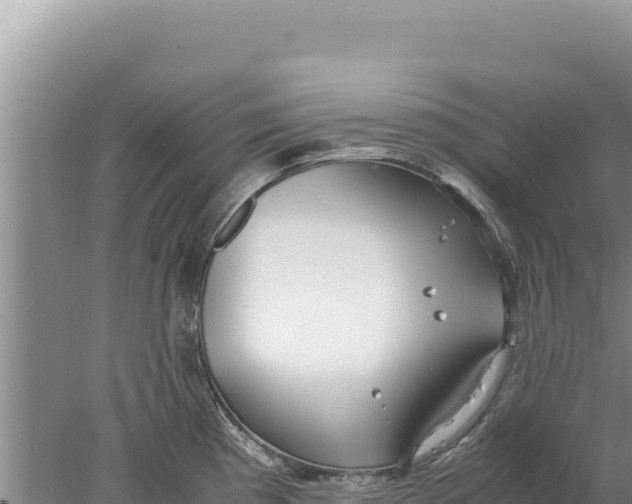 X0000077991193200611171746