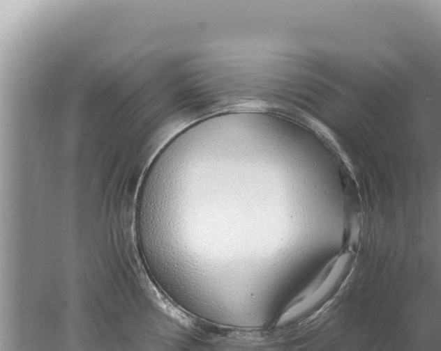 X0000077991194200611171746