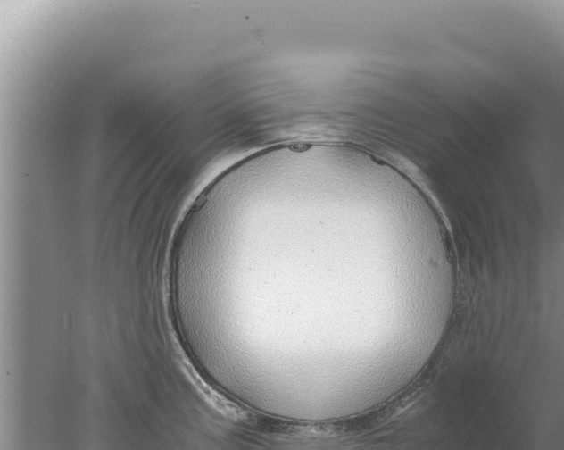 X0000077991195200611171746