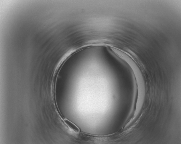 X0000077991196200611171746