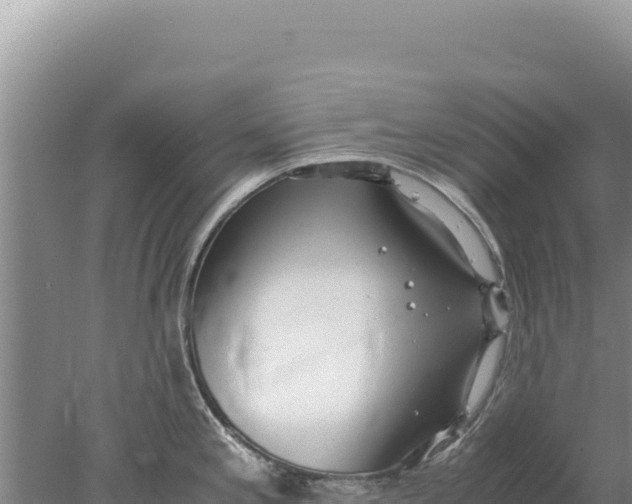 X0000077991197200611171746