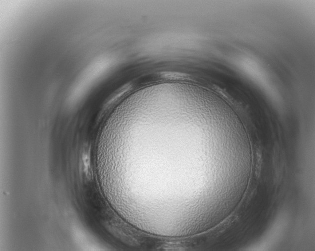 X0000077991198200611171746