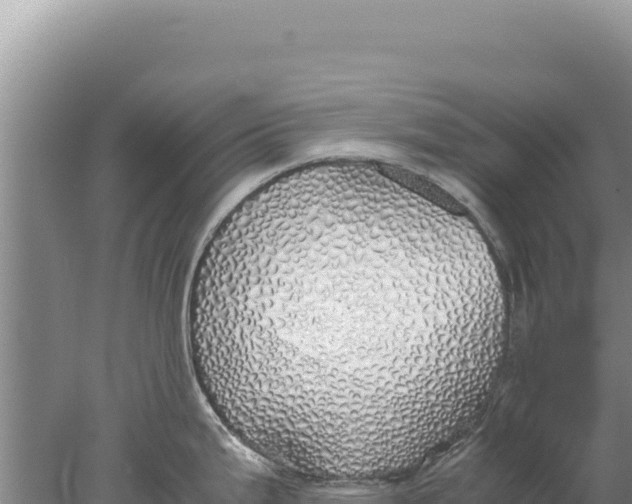 X0000077991199200611171746