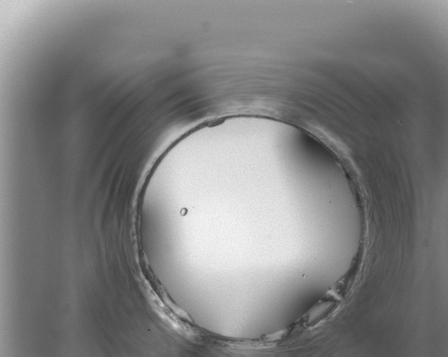 X0000077991200200611171746