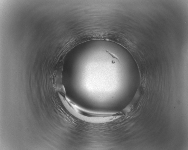 X0000077991202200611171745