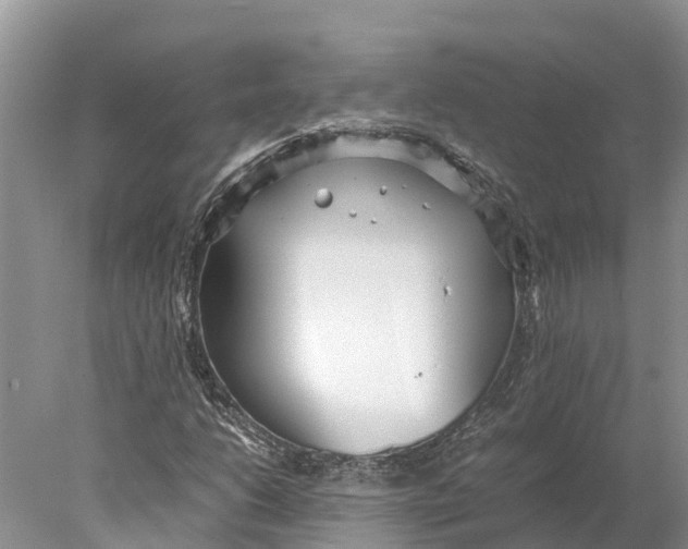 X0000077991206200611171746