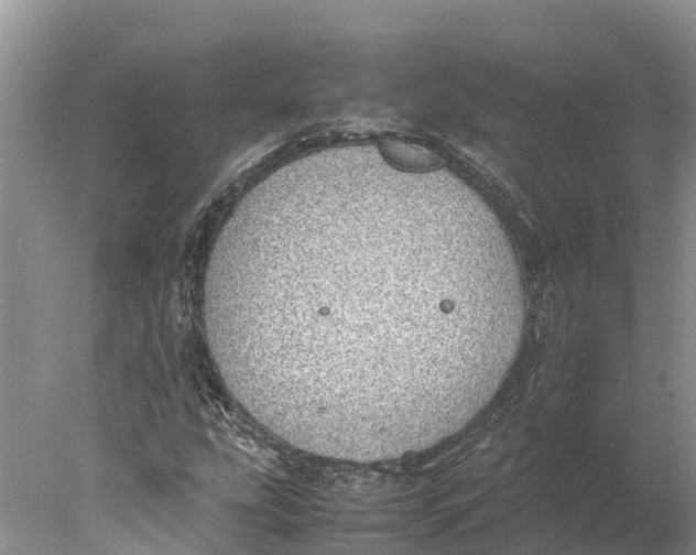 X0000077991207200611171746