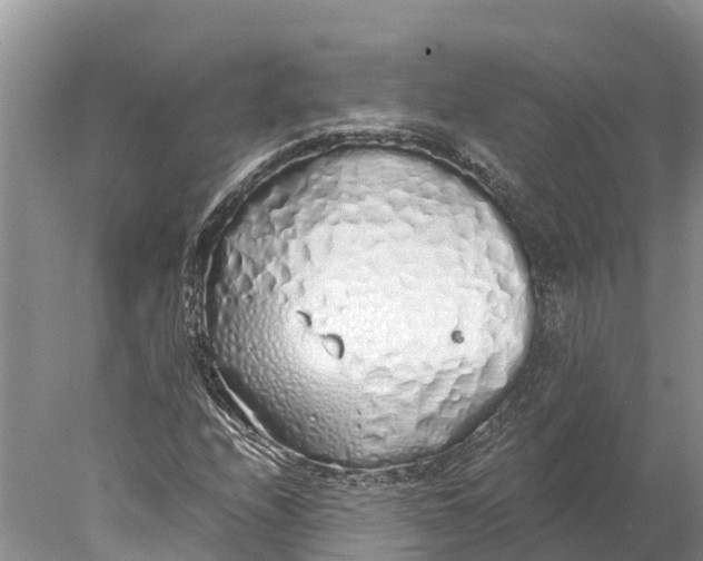 X0000077991208200611171746