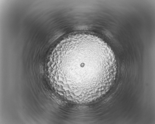 X0000077991209200611171746