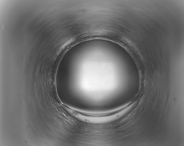 X0000077991210200611171746