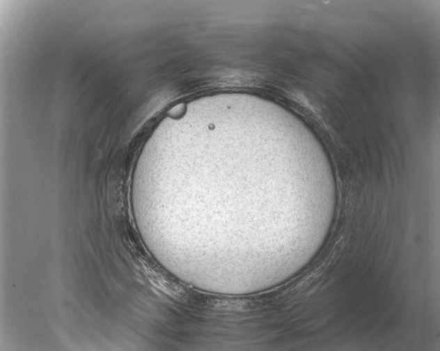 X0000077991211200611171746