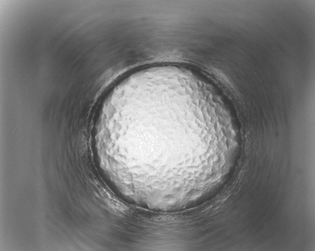 X0000077991212200611171746