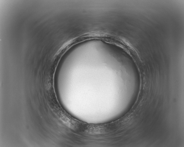 X0000077991213200611171746