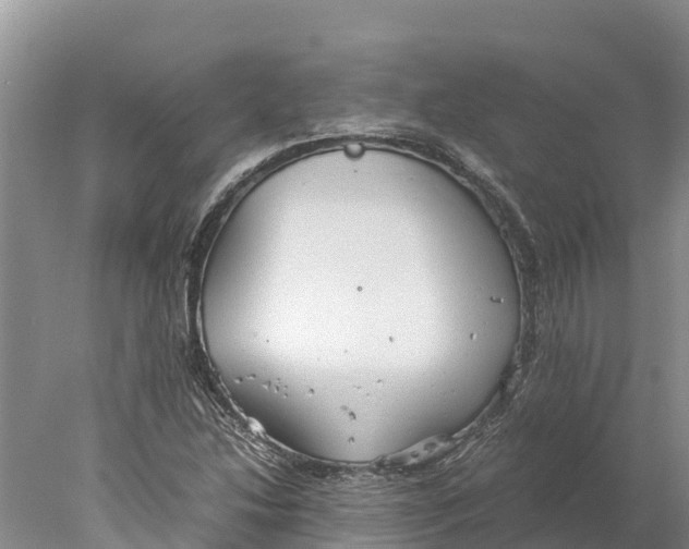 X0000077991214200611171746