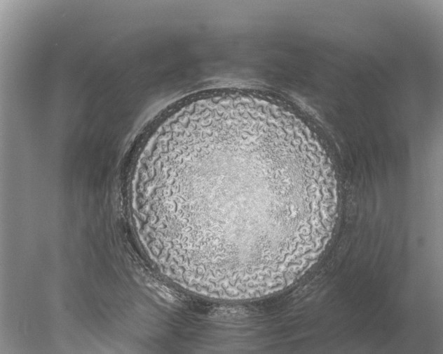 X0000077991215200611171746