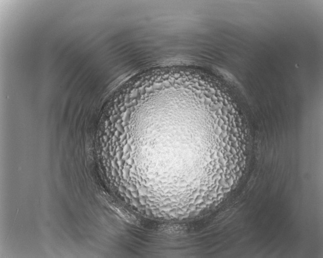 X0000077991217200611171746