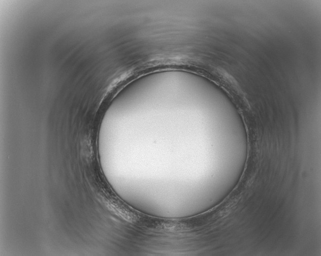 X0000077991218200611171746