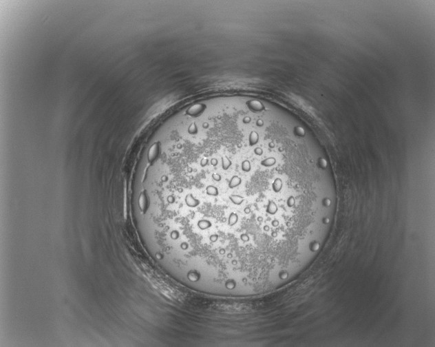 X0000077991219200611171746