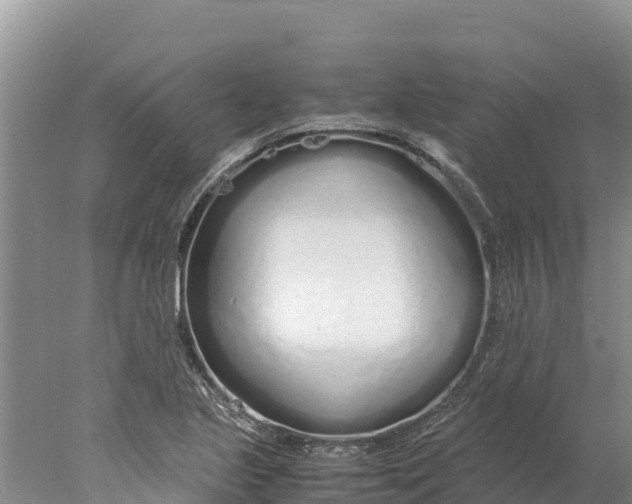 X0000077991221200611171746