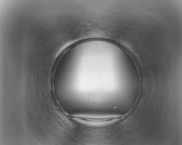 X0000077991222200611171746