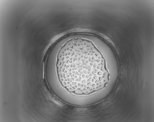 X0000077991223200611171746