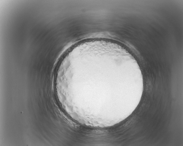 X0000077991224200611171746