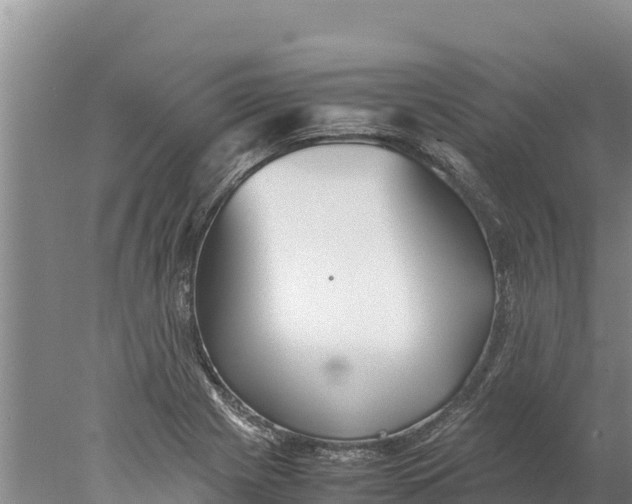 X0000077991225200611171746