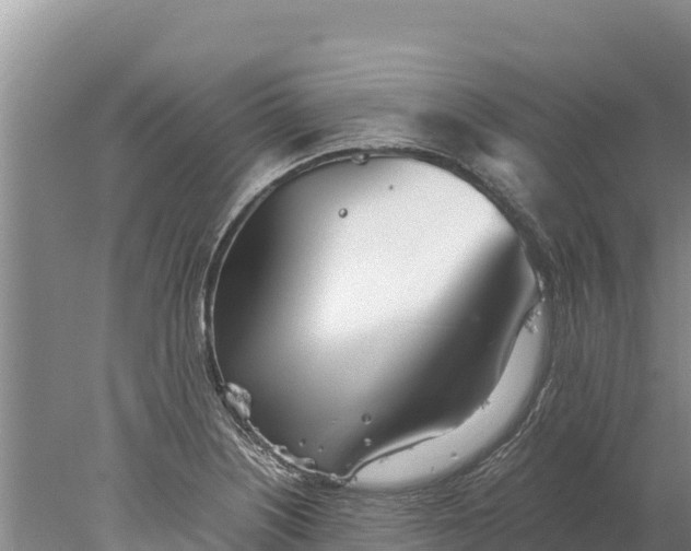 X0000077991226200611171746