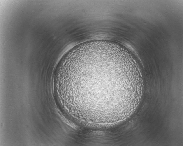 X0000077991227200611171746