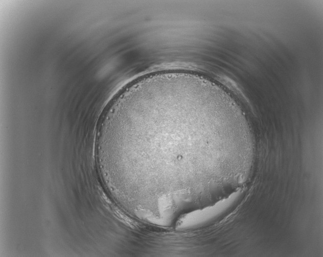 X0000077991228200611171746