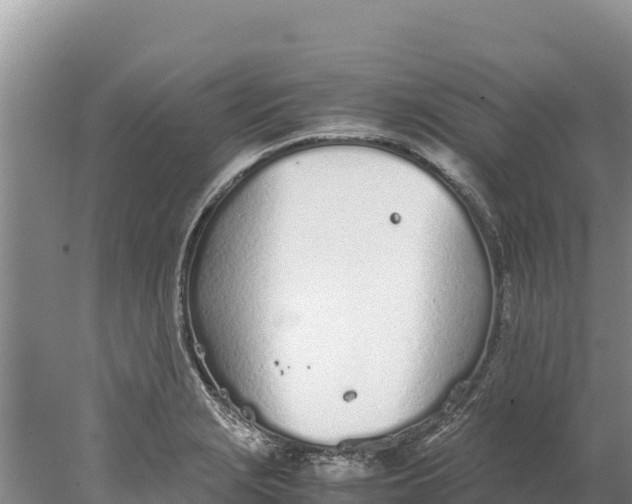 X0000077991229200611171746