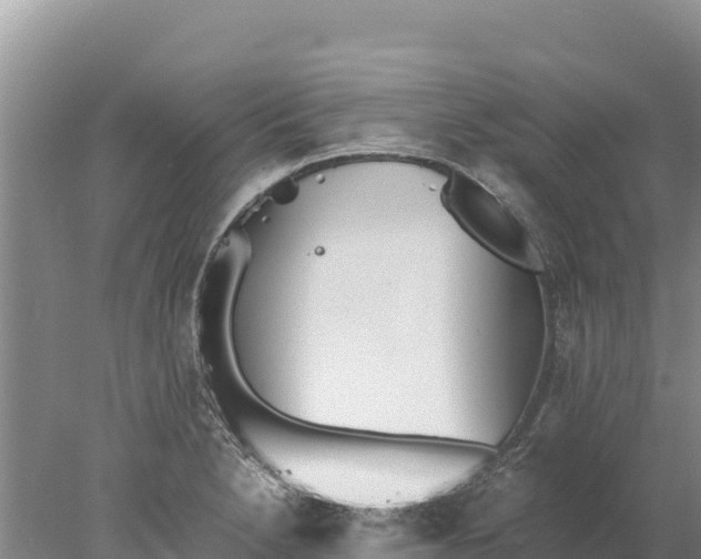 X0000077991230200611171746