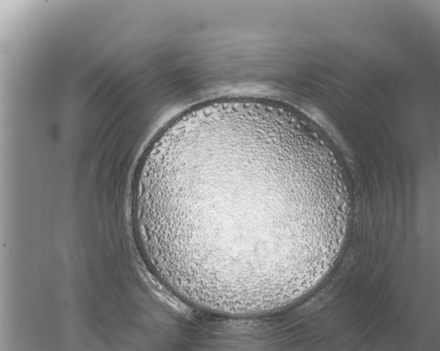 X0000077991232200611171746